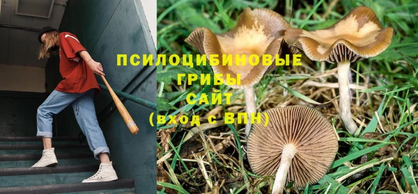 гидропоника Верхнеуральск