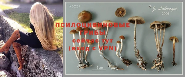 кокаин перу Бородино