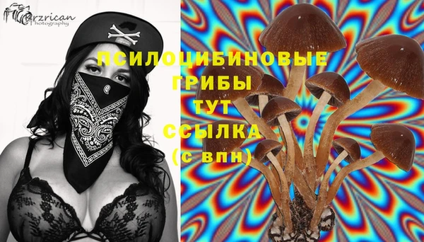 амф Бронницы